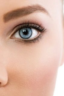 The Importance of a Well Shaped Brow